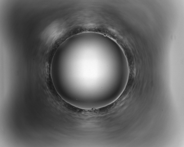 X0000099971301200805231357