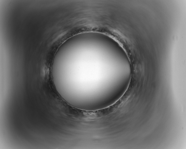 X0000099971302200805231357