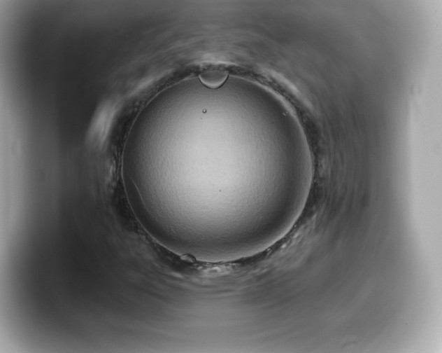 X0000099971303200805231357