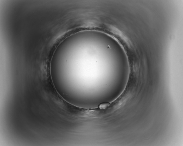 X0000099971304200805231357