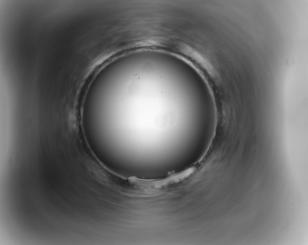 X0000099971308200805231357