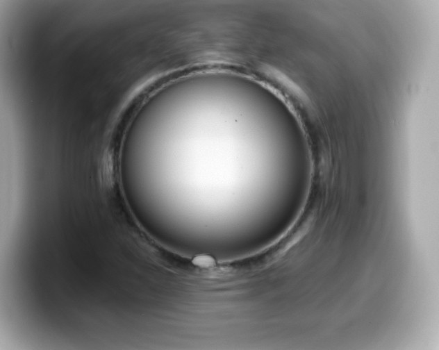 X0000099971310200805231357