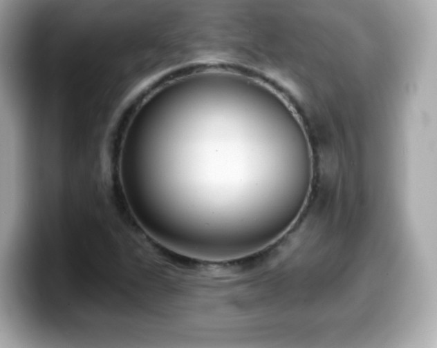 X0000099971311200805231357