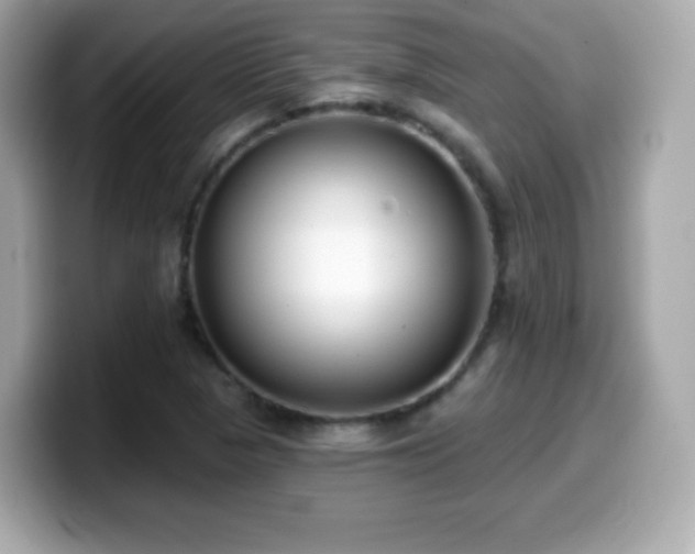 X0000099971313200805231357