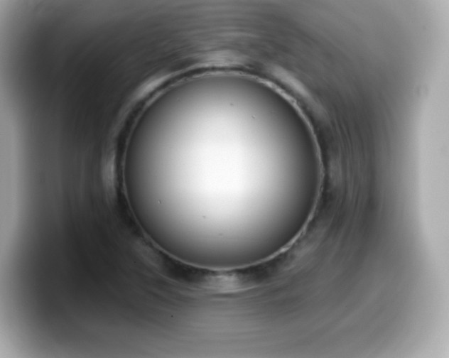 X0000099971315200805231357