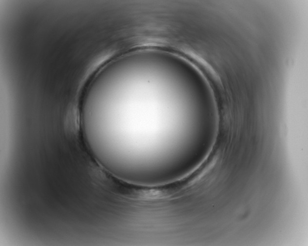 X0000099971317200805231357