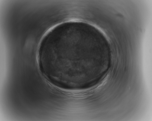 X0000099971319200805231357
