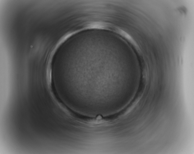X0000099971323200805231357