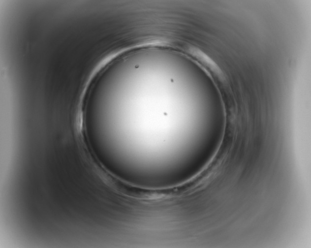X0000099971324200805231357