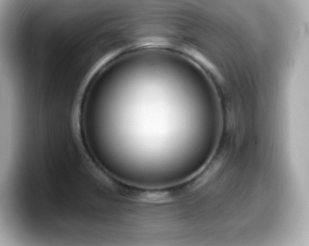 X0000099971325200805231357