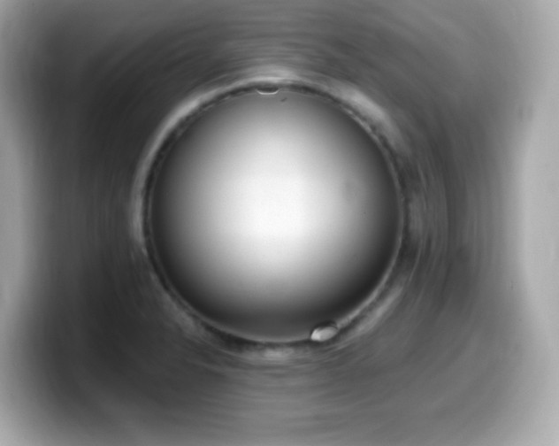X0000099971326200805231357