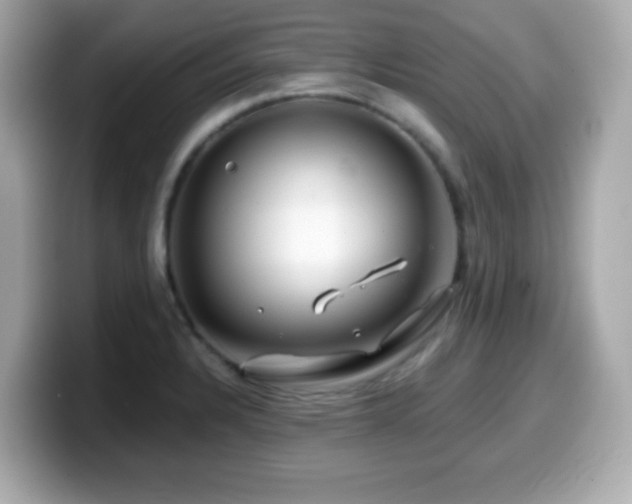 X0000099971328200805231357