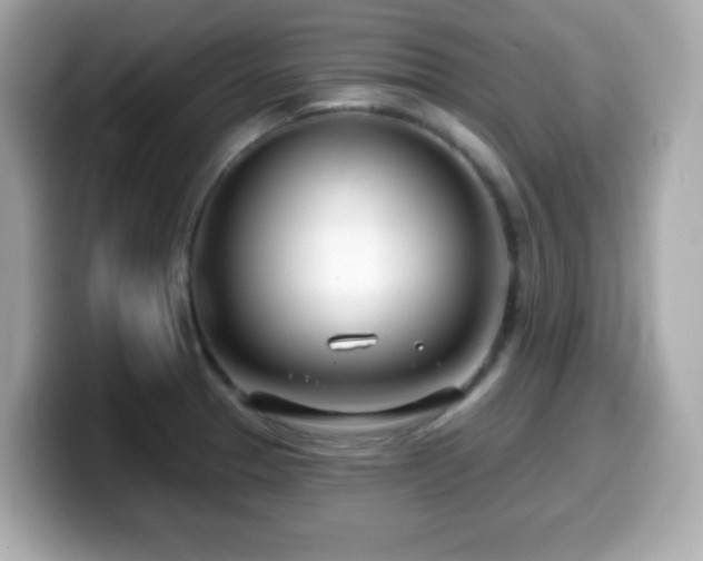 X0000099971329200805231357