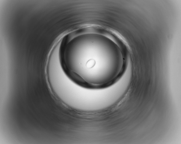 X0000099971330200805231357