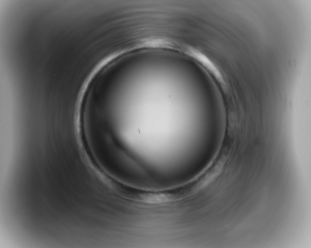 X0000099971331200805231357