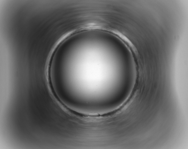 X0000099971333200805231357