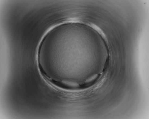 X0000099971334200805231357
