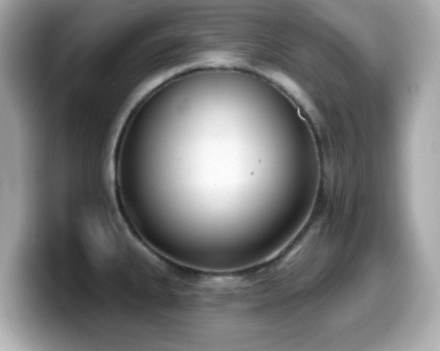 X0000099971335200805231357