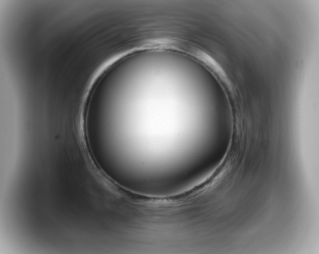 X0000099971336200805231357