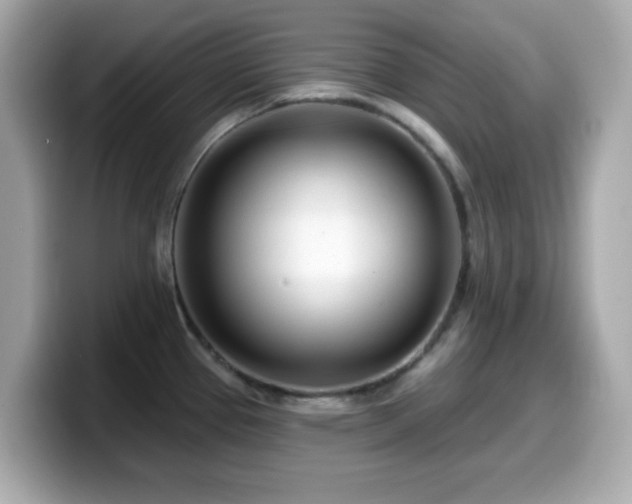 X0000099971337200805231357