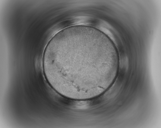 X0000099971338200805231357