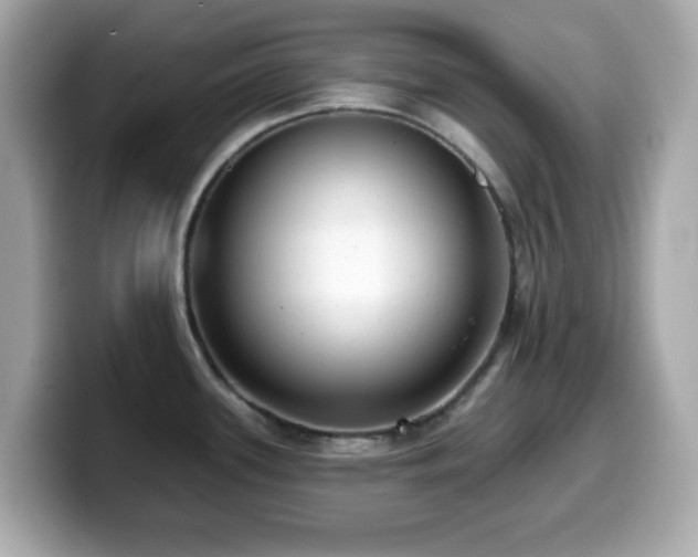 X0000099971339200805231357