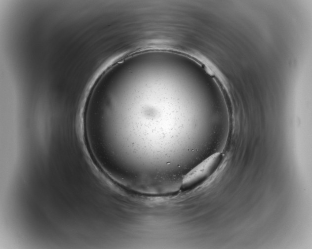 X0000099971341200805231357
