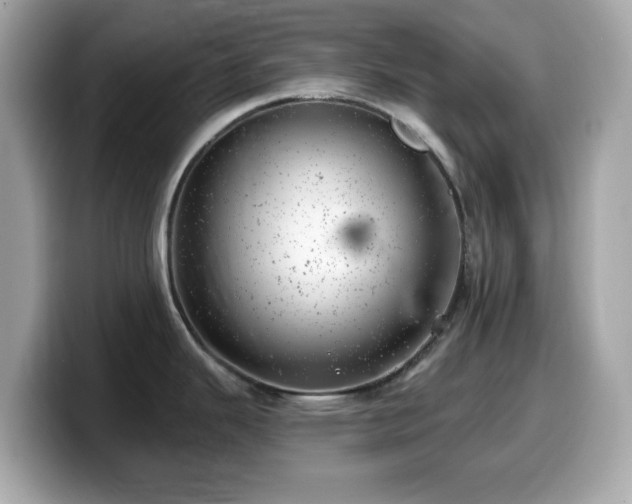 X0000099971343200805231357