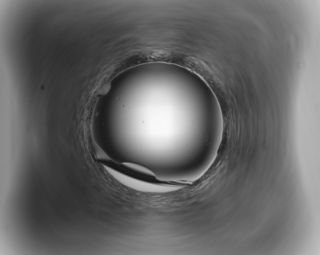 X0000099971345200805231356