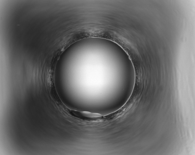 X0000099971346200805231356