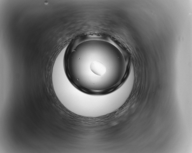 X0000099971348200805231356