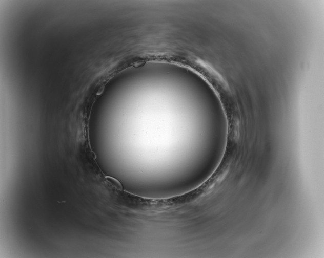 X0000099971350200805231356