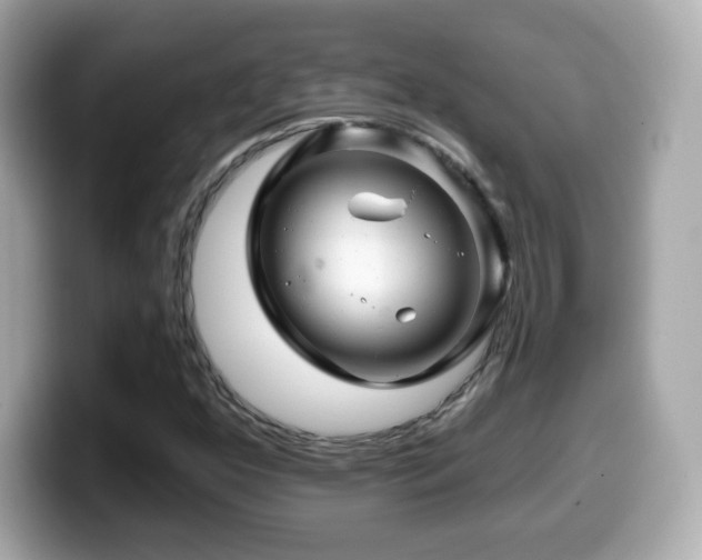 X0000099971352200805231356