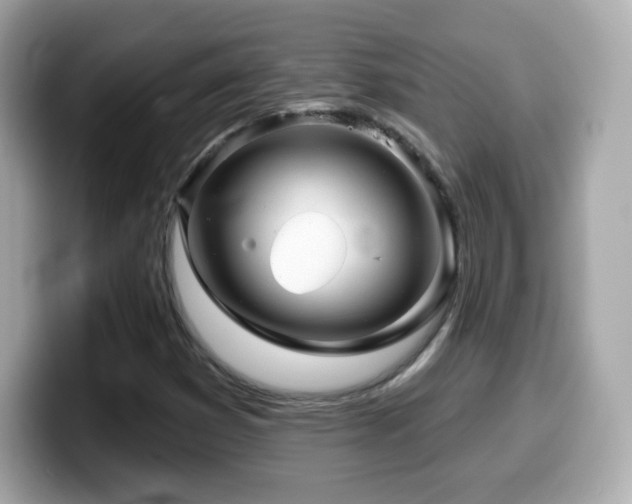 X0000099971353200805231356