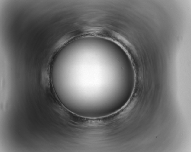 X0000099971354200805231356