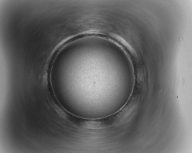 X0000099971356200805231356