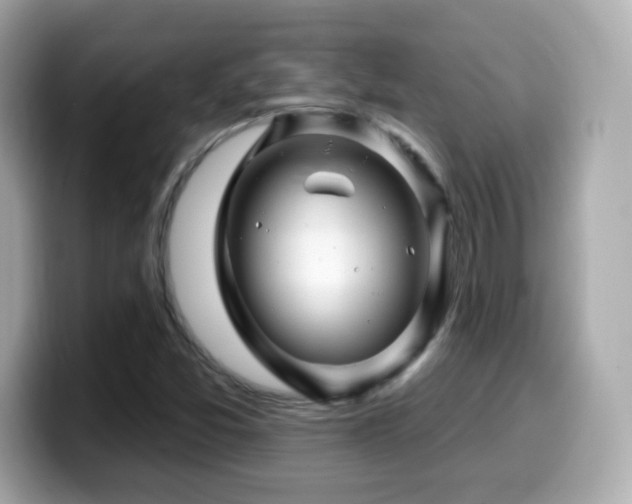 X0000099971357200805231356