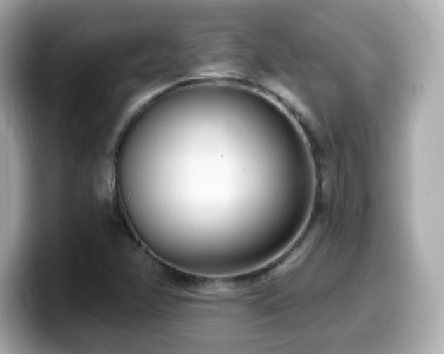 X0000099971358200805231356