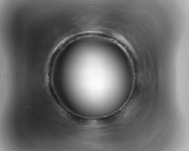 X0000099971360200805231356