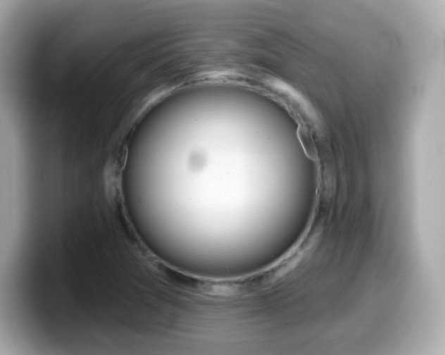 X0000099971361200805231356