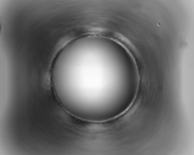 X0000099971362200805231356