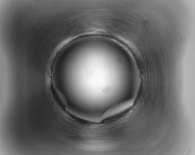 X0000099971363200805231356