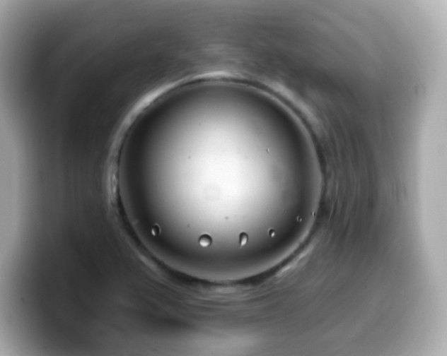 X0000099971367200805231356