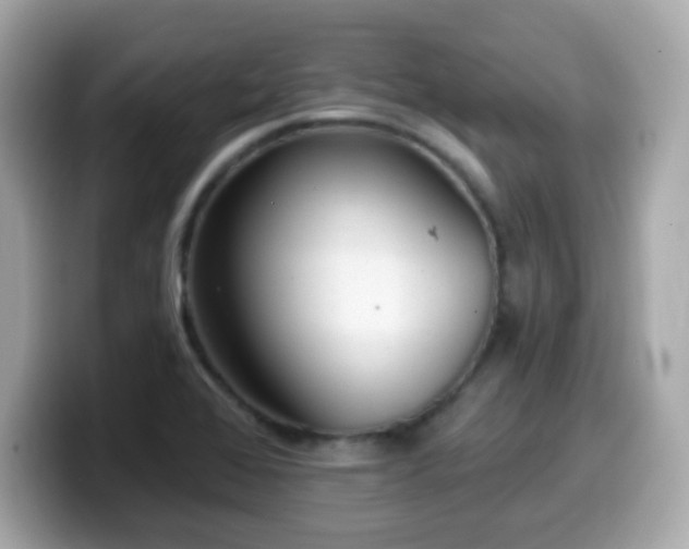 X0000099971368200805231356