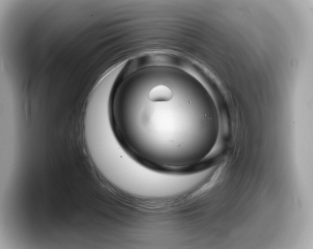 X0000099971369200805231356