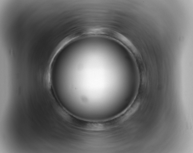 X0000099971370200805231356