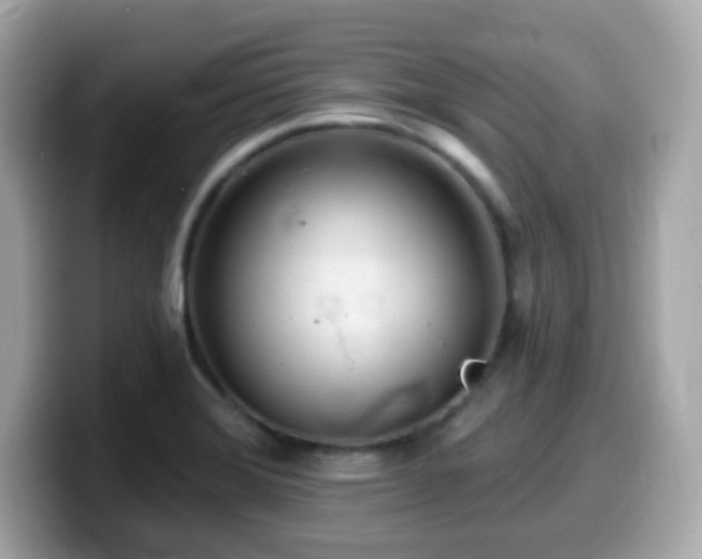 X0000099971372200805231356