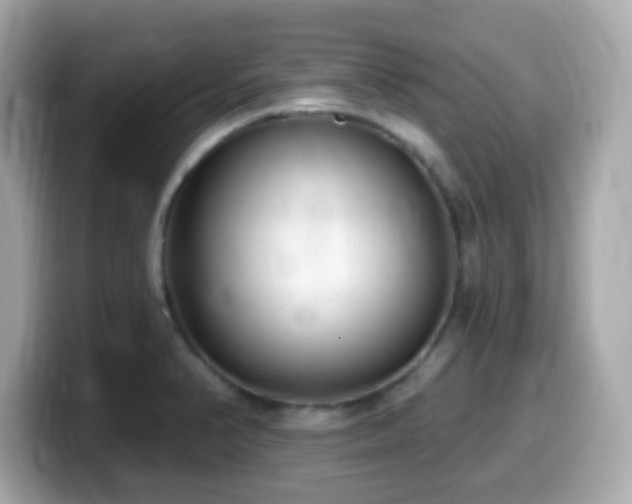 X0000099971374200805231356