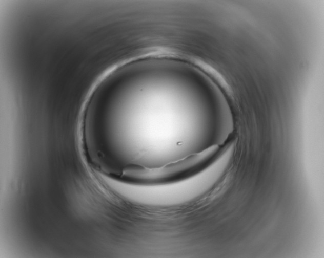 X0000099971375200805231356