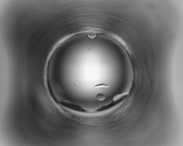 X0000099971379200805231356